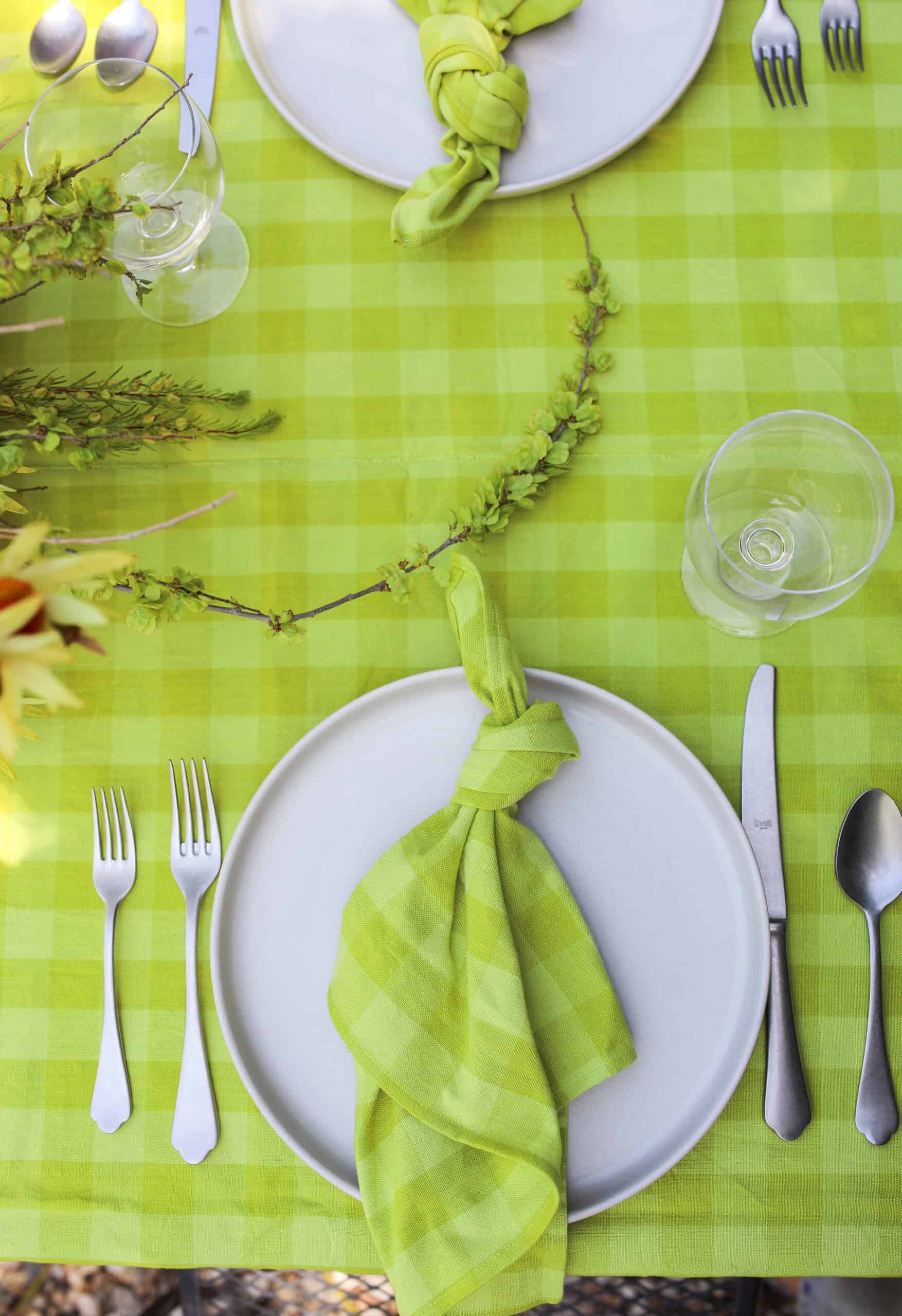 Heather Taylor Home Gingham Napkin
