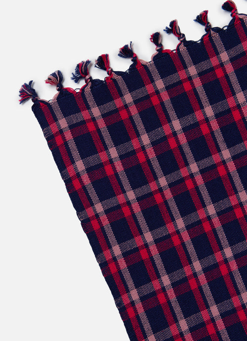 Plaid fabric with tassels on a white background
