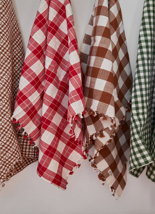 Plaid and Checkered Tea Towels hanging 