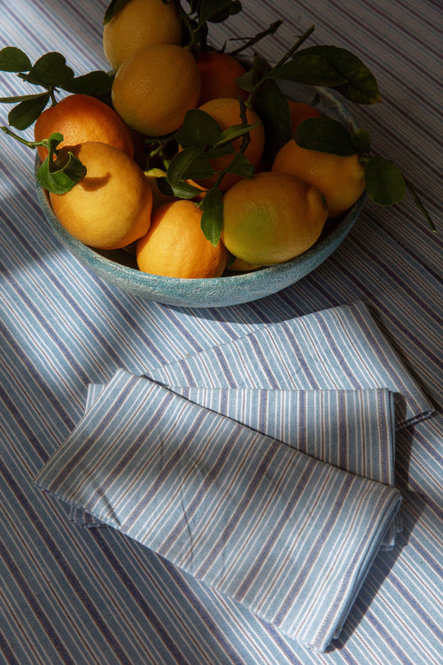 FREDDIE STRIPE - Blue Napkins