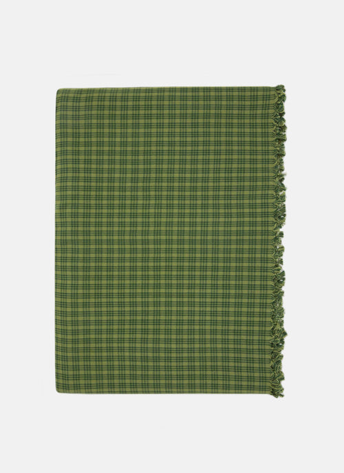 Green checkered blanket with frayed edges on a white background