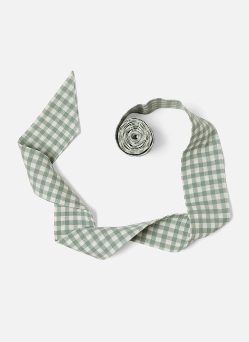 Green and white checkered ribbonon a white background