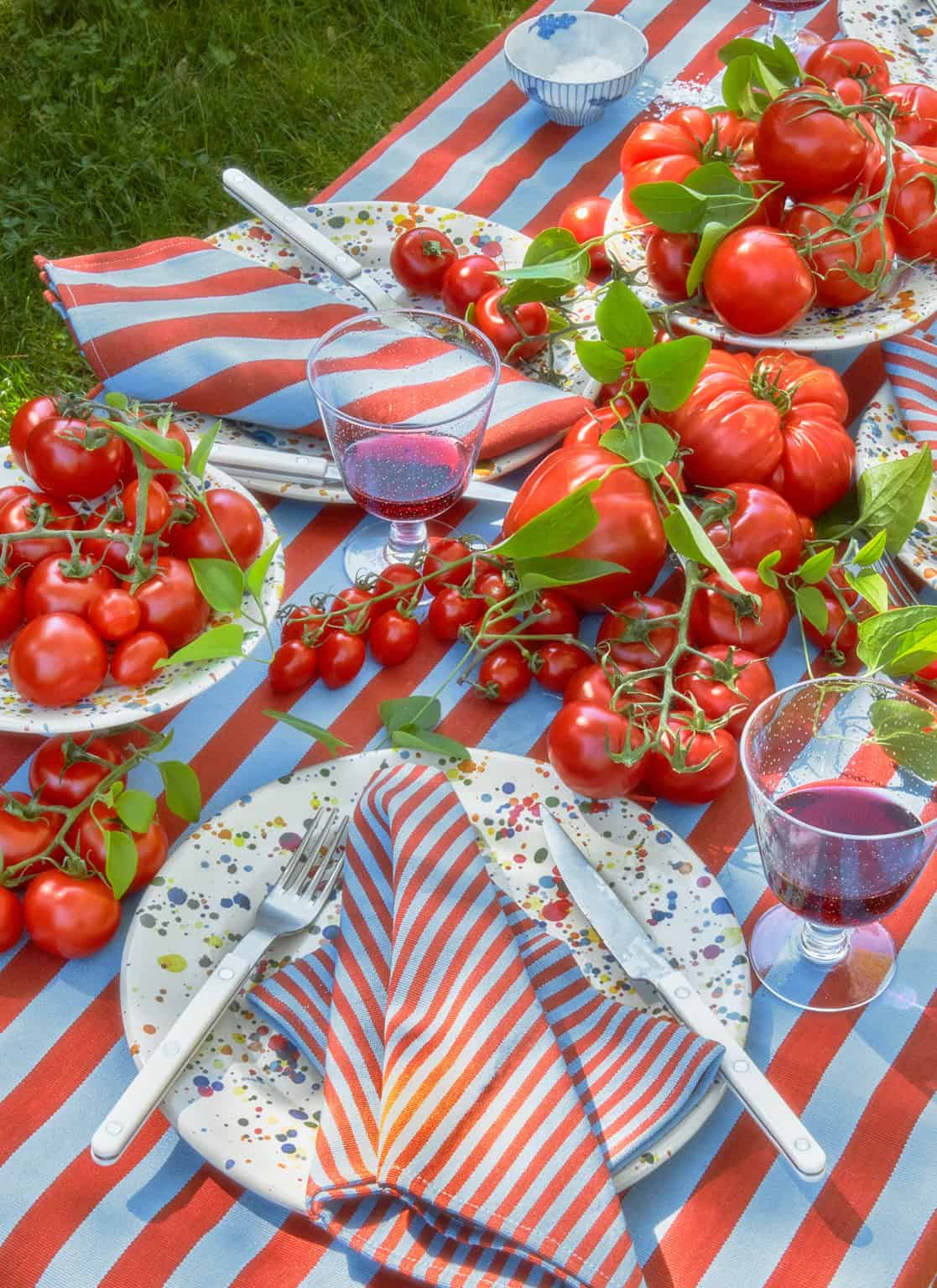 HTH x Domino WIDE STRIPE - Tomato & Blue Tablecloth – Heather