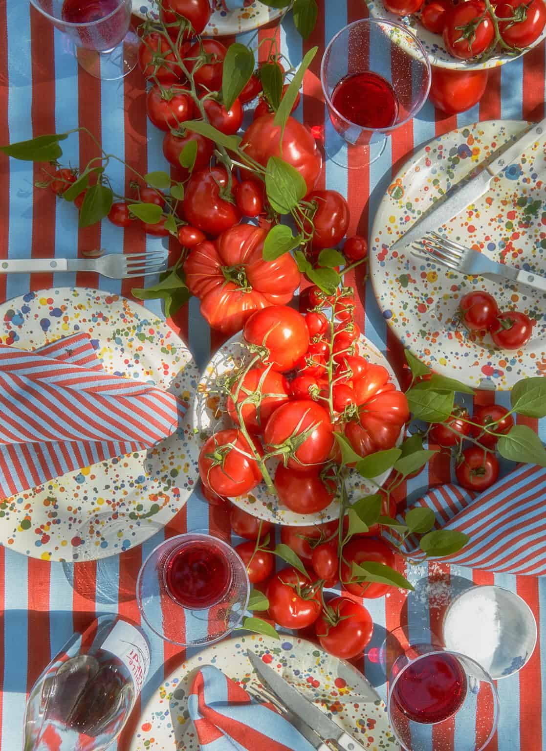 HTH x Domino MINI STRIPE - Tomato & Blue Napkins – Heather Taylor Home